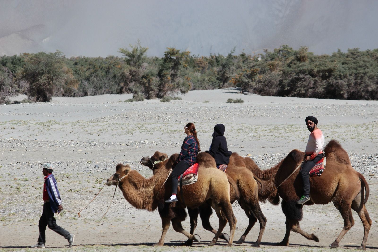 Ladakh journey 3